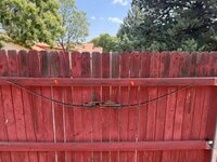 IMG_6046.jpeg